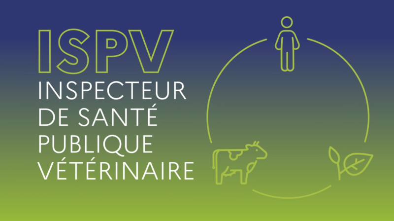 Image comprenant l'inscription ISPV, Inspecteur de santé publique vétérinaire, ainsi qu'une illustration d'une personne, d'une plante et d'une vache, reliés par un cercle.