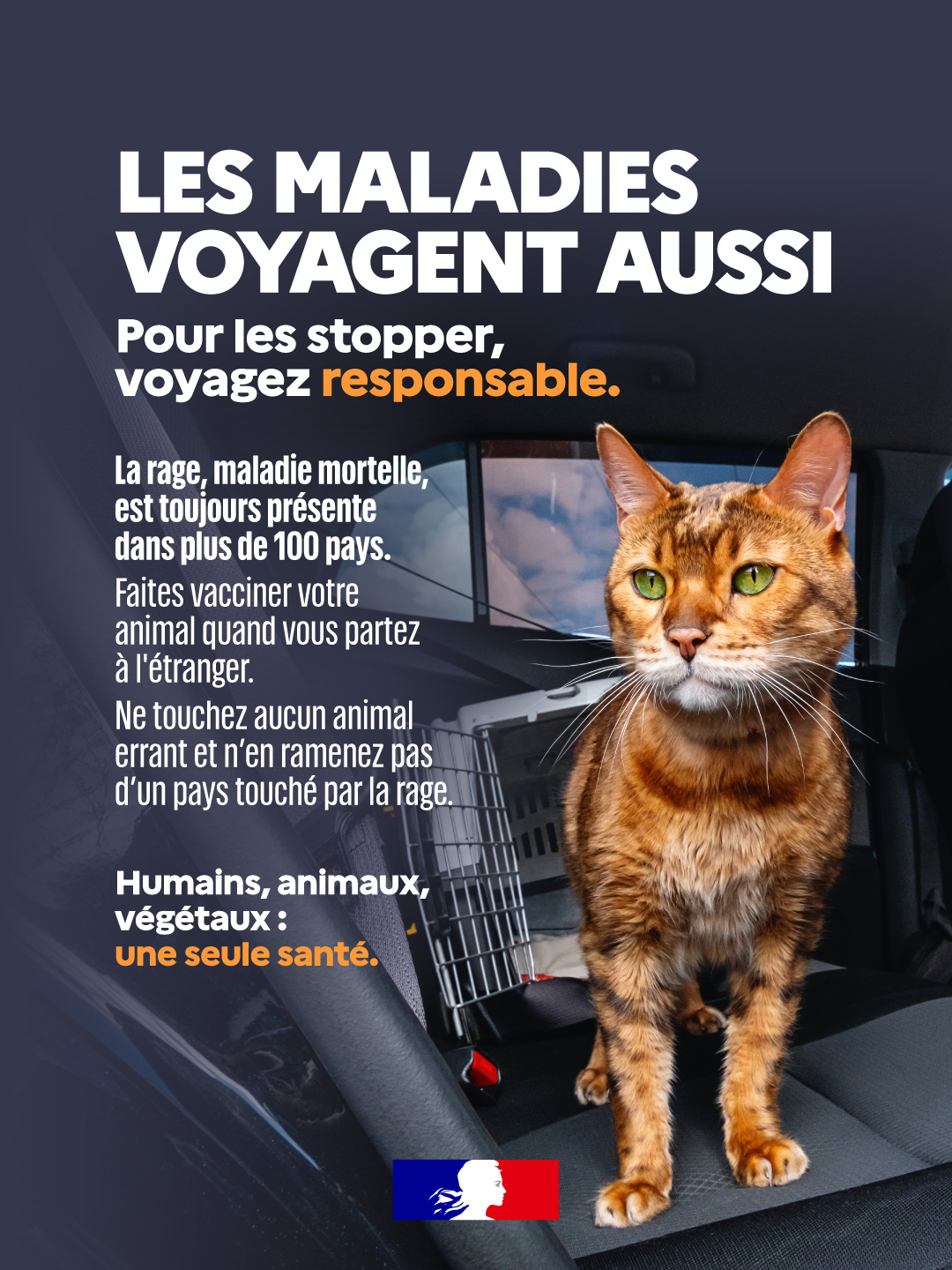visuel campagne ombrelle DGAL