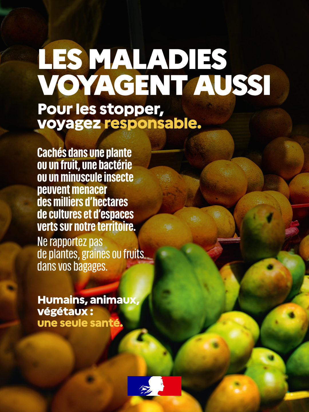 visuel campagne ombrelle DGAL