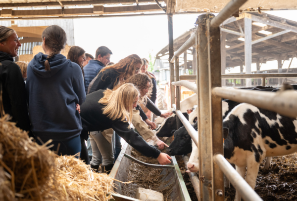 Photo d'élèves de l'enseignement agricole dans une exploitation.